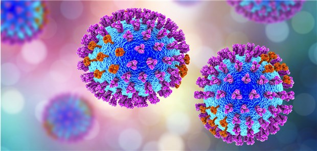 Nun mehr als 1.000 Influenza-Fälle in Deutschland Eine 3D-Illustration von Influenza-Viren.