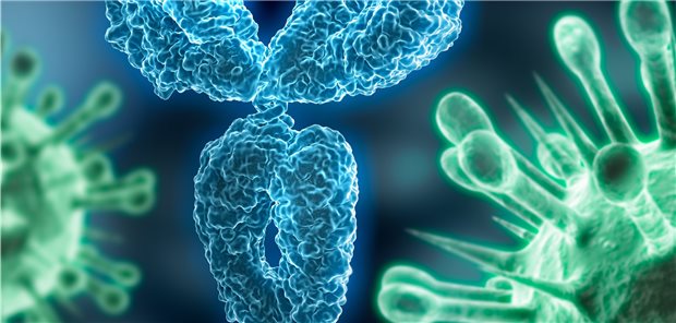 Immunität nach COVID-19: Was bisher bekannt ist Eine Abnahme des Antikörper-Titers nach überstandener COVID-19 muss nicht unbedingt den Verlust der Immunität bedeuten.