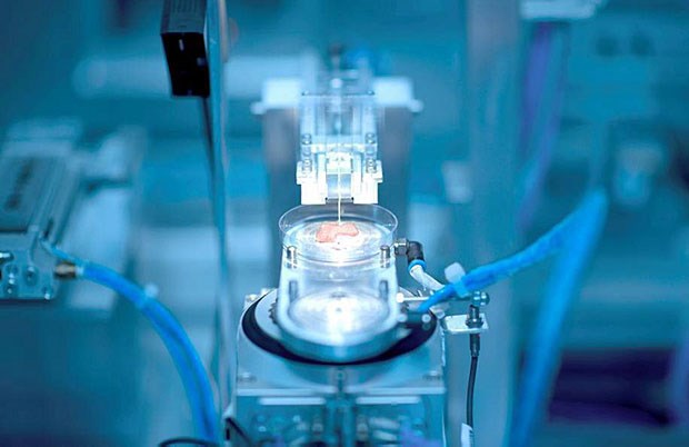 "Hautfabrik" könnte bald wie am Fließband Hautstücke für Verbrennungsopfer liefern Eine Hautprobe wird in der Produktionsanlage zerkleinert.