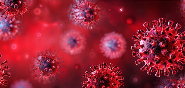 Eine Infektion mit SARS-CoV-2 (3D-Illustration) kann auch bei Kinder zu Long-COVID führen. Einer Studie zufolge bei bis zu 10 Prozent - je nach Risikofaktor.