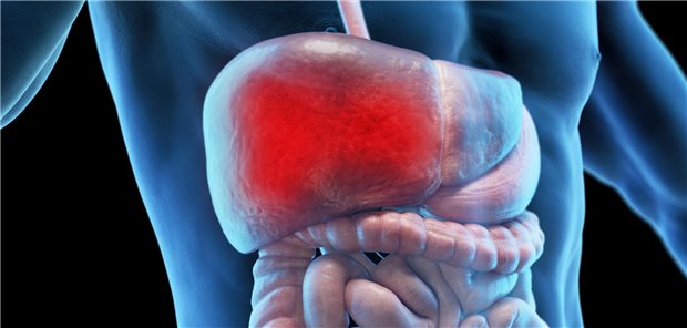 Eine Leberbeteiligung bei Sarkoidose zu diagnostizieren, macht Sinn, da es außer zu unspezifischen Beschwerden, wie Müdigkeit, Bauchschmerzen, Gewichtsverlust, Ikterus und Pruritus auch einmal zu schweren Verläufen wie beispielweise einer Leberzirrhose kommen kann. 