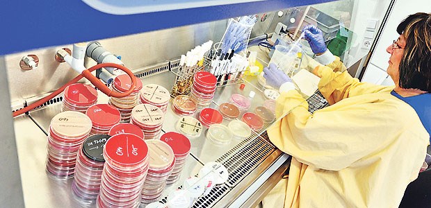 EU bläst zum Kampf gegen Resistenzen Eine MTA untersucht Bakterienkulturen. Dabei geht es auch darum, Klebsiella pneumoniae-Keime zu identifizieren, die gegen viele Antibiotika resistent sind.