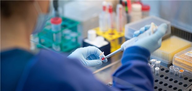 Forscher suchen nach Krankheitserregern in Hamburger Abwasser Eine Mitarbeiterin arbeitet an einer Sicherheitswerkbank in einem Labor im Hamburger Institut für Hygiene und Umwelt.