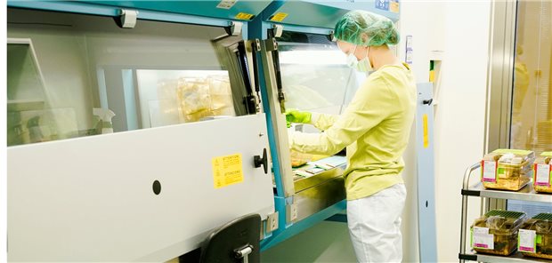 Krebsforscher halten Tierversuche für unverzichtbar Eine Mitarbeiterin steht im Zentralen Tierlabor des Deutschen Krebsforschungszentrums (DKFZ) neben einem Transportwagen mit Tierkäfigen.