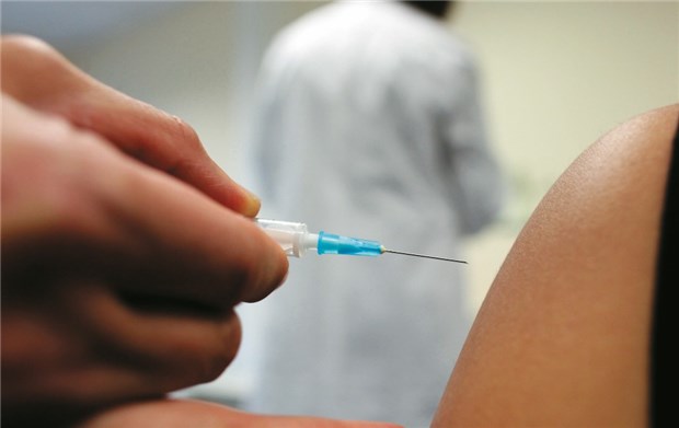 Schweinegrippe: Bei der Impfaktion hakt es in den Praxen noch an vielen Details Eine Patientin lässt sich am Montagmorgen im Gesundheitsamt im Hamburger Stadtteil Altona gegen die Schweinegrippe impfen.