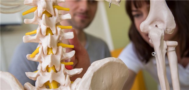 Immer längere Wartezeiten auf Physiotherapeuten-Termin in Mecklenburg-Vorpommern Eine Physiotherapeutin erläutert einem Patienten am Skelettmodell, woher seine Rückenschmerzen kommen. In Mecklenburg-Vorpommern betragen die Wartezeiten auf einen Termin bis zu vier Wochen.