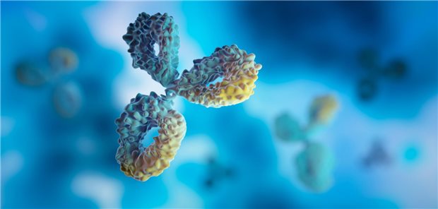 Dreidimensionale Illustration eines Antikörper.