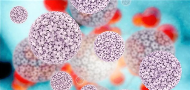 Eine Reihe von Tumoren entwickeln sich infolge einer HPV-Infektion. Hier könnte eine neue T-Zell-Therapie helfen.