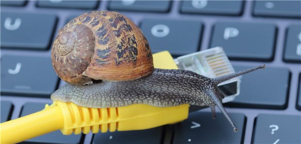 Digitalisierung im Gesundheitswesen: Gepard statt Schnecke! Eine Schnecke: Sinnbild der digitalen Wirklichkeit in Deutschland.