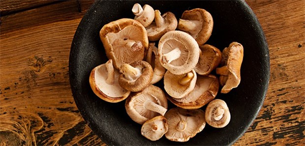 Heftiger Hautausschlag durch beliebten Asienpilz Eine Shiitake-Dermatitis kann offenbar auch nach einer Mahlzeit mit gekochten Pilzen auftreten.