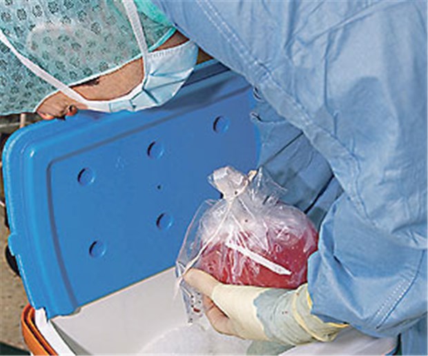 Gutes Zeugnis für deutsches Transplantationssystem Eine Spenderniere wird für den Transport vorbereitet. Ein Rechtsgutachten sieht wenig Probleme im deutschen Transplantationswesen.
