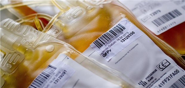 Eine Therapie mit COVID-19-Rekonvaleszentenplasma hat auch den Vorteil, dass es in der aktuellen Pandemiesituation immer wieder neu gewonnen wird und die zirkulierenden Virusvarianten abdeckt (Symbolbild).