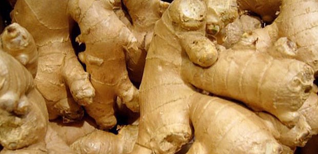 Ingwer-Extrakt senkt Blutzucker Eine Wurzel mit besonderen Qualitäten. Zumindest experimentell beeinflusst Ingwer den Blutzucker positiv.