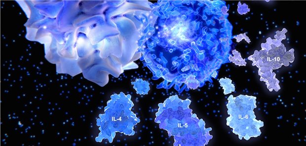 Eine aktivierte T-Helferzelle setzt Zytokine frei.