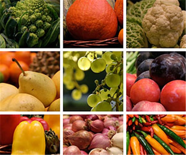 Gesunde Lebensweise nützt auch nach Schlaganfall Eine ausgewogene Ernährung mit viel Obst und Gemüse ist auch für Schlaganfall-Patienten wichtig.