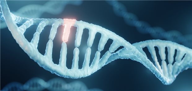 Eine einzelne Punktmutation in dem IRF4-Gen ist wohl für den Phänotyp einer neu entdeckten autosomal-dominanten kombinierten Immunschwäche (CID) verantwortlich.