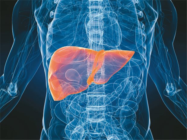 Response-gesteuerte Therapie bei Hepatitis C steht im Mittelpunkt der neuen Leitlinie Eine erfolgreiche Hepatitis-C-Therapie verhindert die Dekompensation einer vorhandenen Zirrhose.
