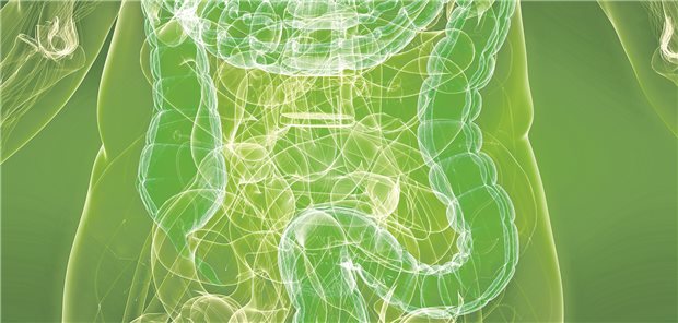 Eine etablierte Therapie bei chronisch-entzündlichen Darmerkrankungen (CED) ist die Behandlung mit Biologika wie TNF-Alpha-Antikörper (Anti-TNF-Alpha). Forscher haben jetzt molekularbiologische Marker gefunden, mit deren Hilfe man zu Beginn der Behandlung erkennen kann, ob die Anti-TNF-Alpha-Therapie anschlagen wird.
