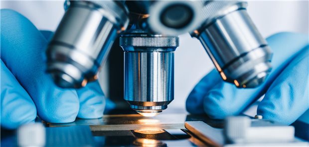 Eine histopathologischen Begutachtung einer Biopsieprobe