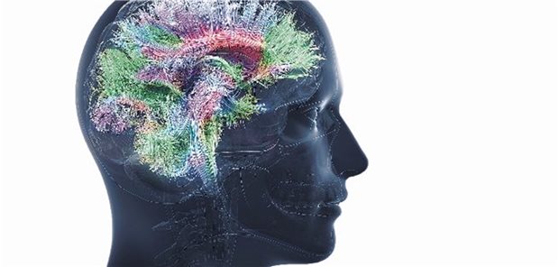 Eine hohe Pestizidbelastung soll zu einem erhöhten RBD Risiko führen. 