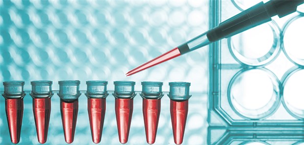 Aktivierung von Ersatzgen möglich Eine neu entwickelte genetische Technik sorgt bei Patienten mit Spinaler Muskelatrophie dafür, dass ein Nervenschutzfaktor die Motoneuronen am Leben hält.