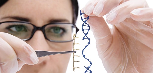 Eine neue Studie demonstriert, welche komplexen und kniffligen Lösungen mit RNA-Therapeutika bereits möglich sind.