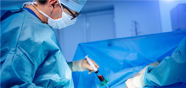 Eine passgenauere Auswahl der Spender ist ein Faktor, der zur Verbesserung der allogenen Stammzelltransplantation beiträgt. 