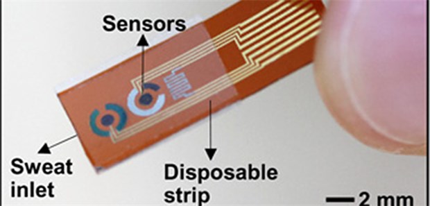 Forscher messen Blutzucker im Schweiß Einen Sensor zur Blutzuckermessung in Schweiß haben Wissenschaftler aus Südkorea entwickelt.