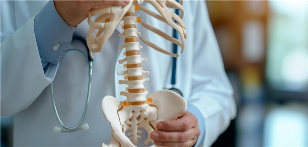 Ein Arzt hält ein Skelett-Modell in den Händen. Im Bild ist besonders der Ausschnitt der unteren Wirbelsäule zu sehen. 