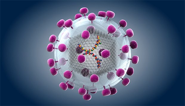 Dänen 'kicken' HIV raus Einfach aus den infizierten Zellen locken: HI-Virus.