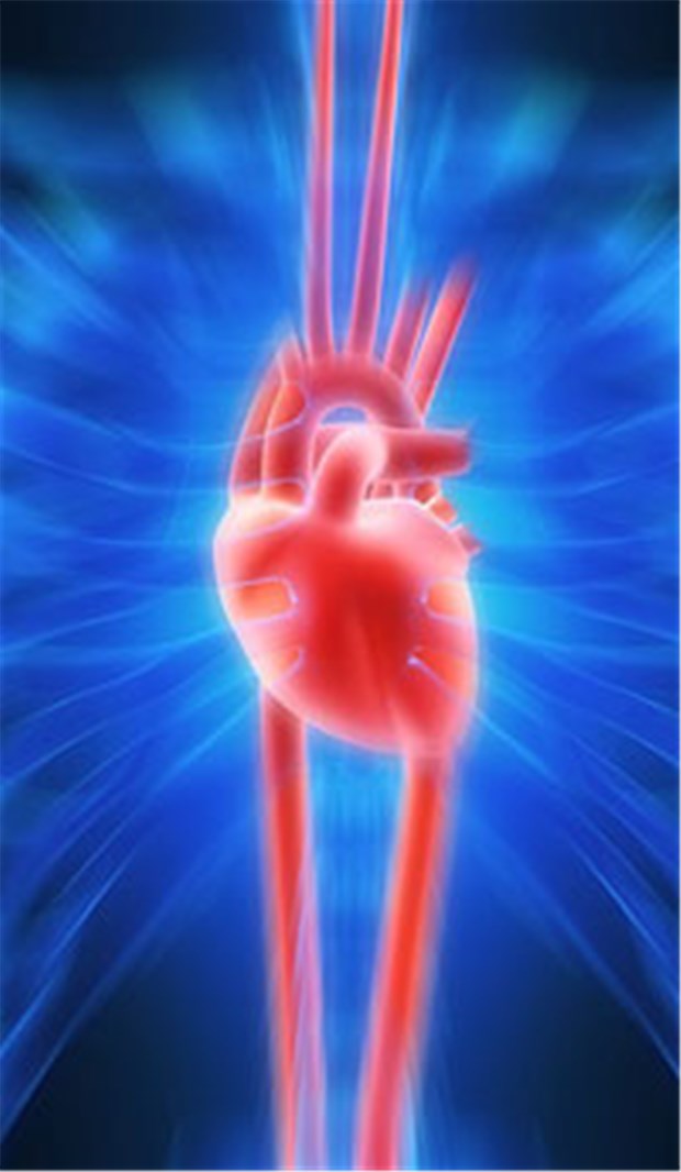 Eisenmangel bei Herzinsuffizienz - i.v-Therapie gibt Patienten wieder Kraft Eisentherapie i.v. nützt offenbar auch schwachen Herzen. © Sebastian Kaulitzki / fotolia.com