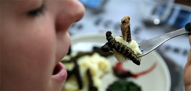 Ekel-Essen oder Nahrung der Zukunft? Eiweissreiche, gesunde Nahrung: Insekten-Food. © picture-alliance / maxppp