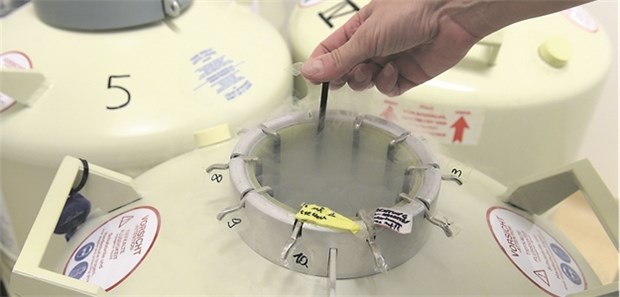 Bis später, Baby! Eizellen werden zur Aufbewahrung in Tanks mit flüssigem Stickstoff gegeben. Dort können sie auf unbestimmte Zeit gelagert werden.
