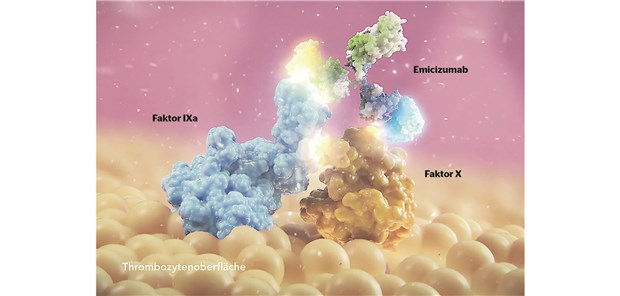 Emicizumab bringt Faktor IXa und Faktor X zusammen und ermöglicht so den weiteren Ablauf der Gerinnungskaskade. 