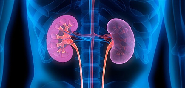 Empagflozin senkt das Risiko renaler Ereignisse.