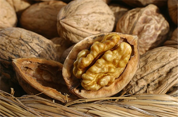 Walnüsse bringen Gefäße von Diabetikern in Schwung Empfehlenswert für Diabetiker: Walnüsse. © luc gillet / fotolia.com