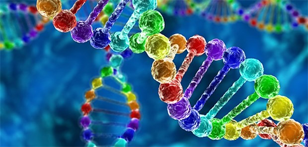 Genetische Ursache entschlüsselt Entdeckt: Fehlentwicklungen der Nasen- und Augenpartie bei zwei Syndromen haben mit einer Genmutation zu tun.
