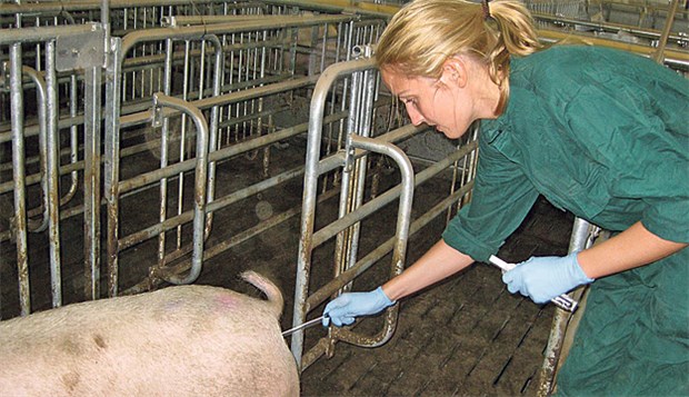 Multiresistente Keime ausgemistet Entnahme mikrobieller Proben: Dr. Ricarda Schmithausen überprüft die Desinfektions-Maßnahmen.