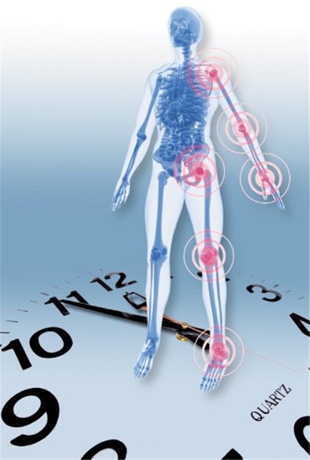 Zirkadiane Rhythmik wird zur Therapie bei Rheumatoider Arthritis genutzt Entzündliche Erkrankungen wir Rheumatoide Arthritis haben eine Tagesrhythmik.