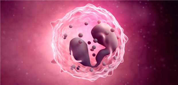 Eosinophile: Für Asthma- und COPD-Patientinnen und -Patienten stehen derzeit hauptsächlich die Eosinophilen als Marker für eine Differenzialtherapie zur Verfügung.