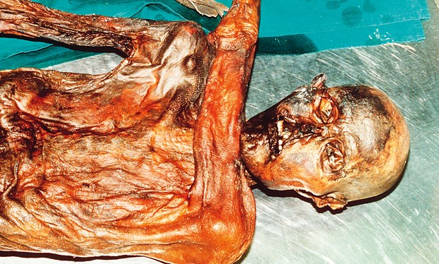 "Ötzi" - der geheimnisvolle Mann aus dem Eis Er beflügelte die Phantasie der Menschen: "Ötzi" - hier ein Archiv-Foto - starb vor rund 5300 Jahren.
