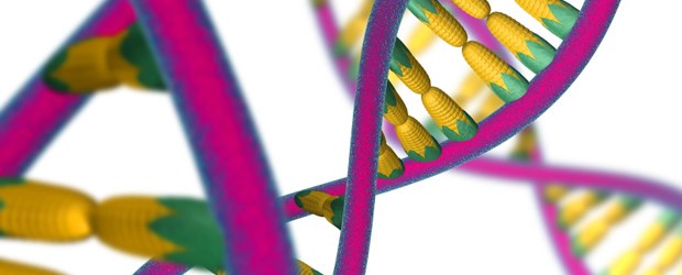 Therapie künftig nach Tumorsubtyp? Erbgut im Blick: Hoffnungsträger für die Krebstherapie.