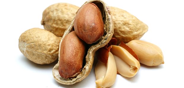 Erdnüsse: relativ häufige Ursache von Nahrungsmittelallergien.