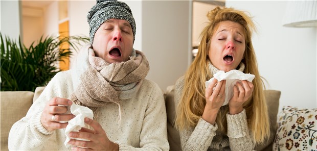 Erkältet oder grippekrank? Bei 28 Prozent der ARE-Patienten wurden in der 2. Kalenderwoche Influenzaviren gefunden.