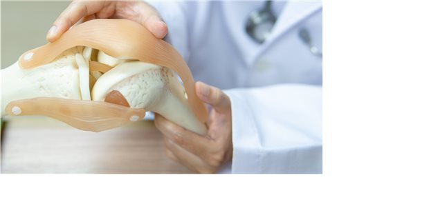 Erklären und schulen: Auch das sind zentrale Aufgaben bei der Betreuung von Arthrose-Patienten.