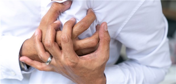 Erklärt Testosteron die erhöhte Herzinfarktrate von Männern im Vergleich zu Frauen?