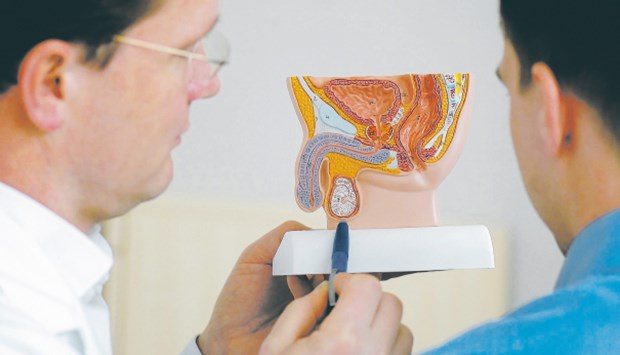Urologen für engere Kooperation mit Hausärzten Erklärt mehr als tausend Worte: Urologe erläutert einem Patienten am Modell ein Krankheitsbild.