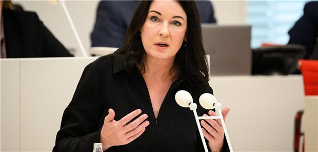 Britta Müller am Rednerpult im Brandenburger Landtag.