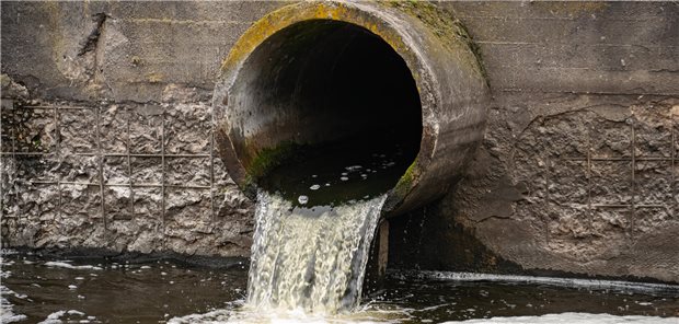 Erneut Polioviren in deutschen Städten gemeldet Abflussrohr