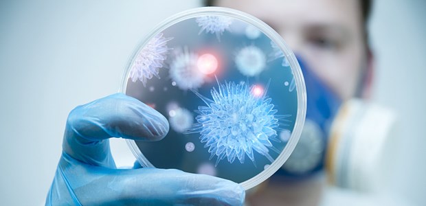Nach der Pandemie wurde H1N1 gefährlich Erreger unter der Lupe: Das neue H1N1 befiel im Jahr nach der Pandemie deutlich ältere Menschen.